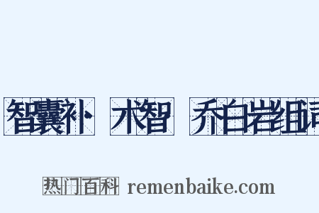 智囊补·术智·乔白岩组词是什么意思的图片